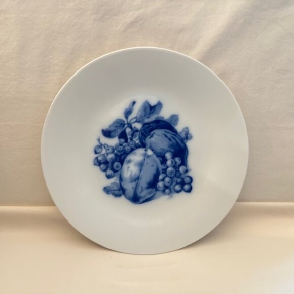 Vintage Other - Vintage Hutschenreuther Blue and White Fruit Plate